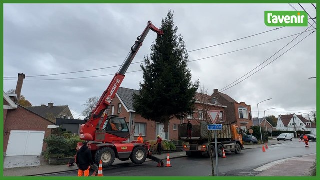 Mouscron : le sapin de Jean-Pierre et Suzanne égaie la place de Luingne pour Noël