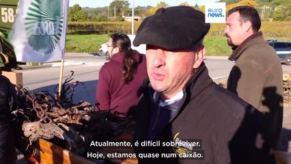 Agricultores franceses mobilizam-se para protestar contra o acordo comercial UE-Mercosul