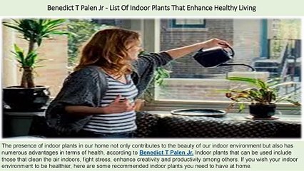 Benedict T Palen Jr - List Of Indoor Plants That Enhance Healthy Living