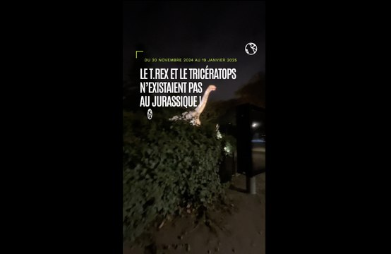 Jurassique en voie d’illumination , la nouvelle balade nocturne du Jardin des Plantes