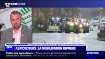 Au congrès de la fnsea, les candidats à la présidentielle draguent les agriculteurs