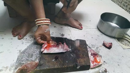 how to gray snapper fish cutting viedo - SMN Fish Cutting