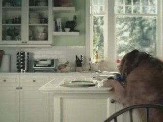 Que fait un chien rusé...