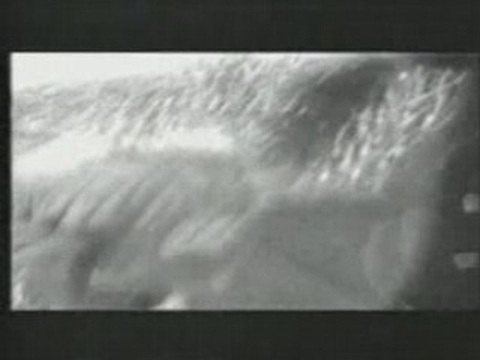 Paradise Lost - As I Die