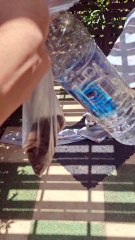 القطط كانت سبب إلهامي اني افتح شركتي