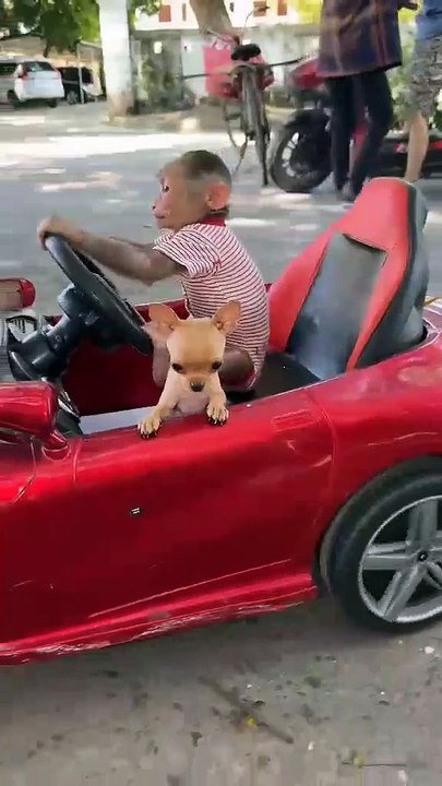 Monkey Driver