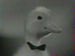 Saturnin - Générique série TV