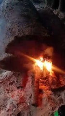 akibat terlalu dingin