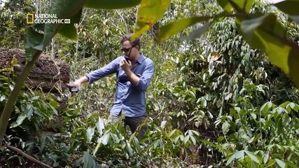 Documental Acceso 360 a los lugares patrimonio de la humanidad 1- Angkor wat