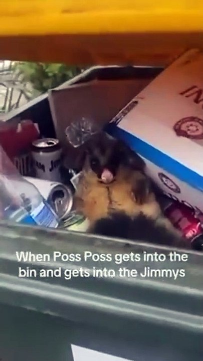 Drunk Poss