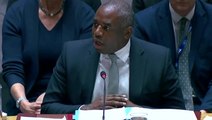 David Lammy berates Russian counterpart for using phone during UN meeting on Sudan ceasefire