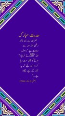 مرغ کو گالی مت دو