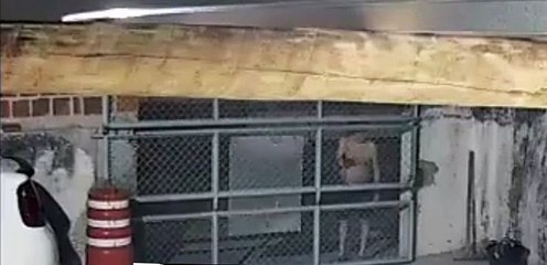 Advogado em surto ameaça socorristas em cidade baiana