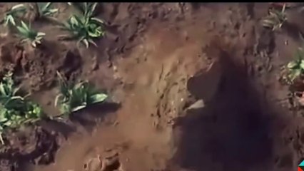 The Story of Hazrat Adam (AS) and the Angel of Death | Mout Ka Farishta Kaise Aya? | Ya Alqaim Tv