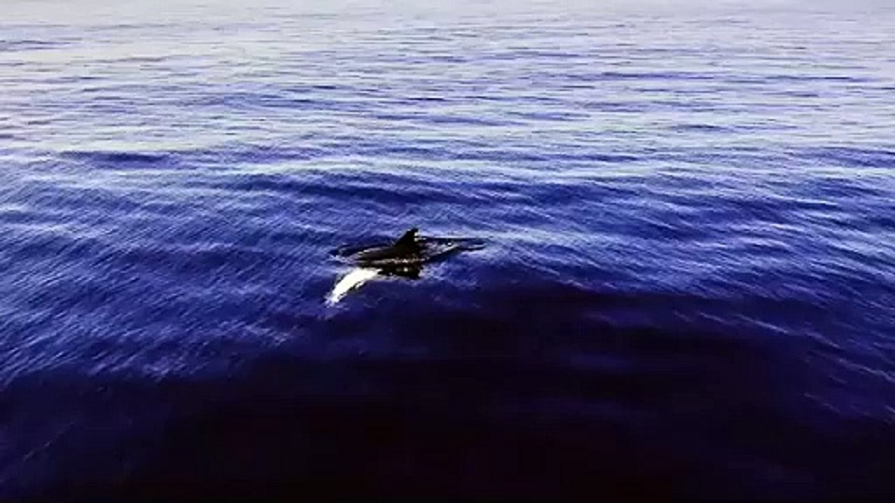 När man inte kan hänga med på båten men får denna skickad av @johanzonelin