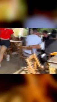 Animaux drôles et mignons #1