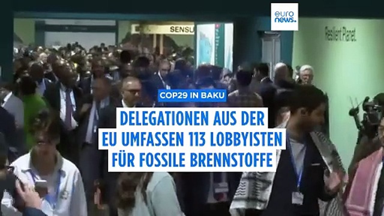 COP 29 in Baku: EU-Länder bringen 113 Lobbyisten für fossile Brennstoffe mit