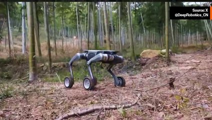 Uusi kiinalaisen Deep Roboticsin robottikoira tekee vaikuttavia liikkeitä – video leviää viraalisti