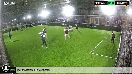 But de Andrei C - Fc Stejarii