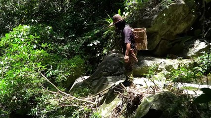 EP.152 - Vagando no riacho à procura de comida selvagem