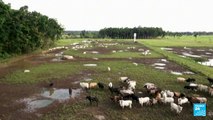 Agricultores franceses temen que el pacto entre la UE y Mercosur se firme en la cumbre del G20