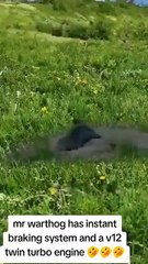 Warthog turbo V16 engine mode activated successfully 😂😂😂