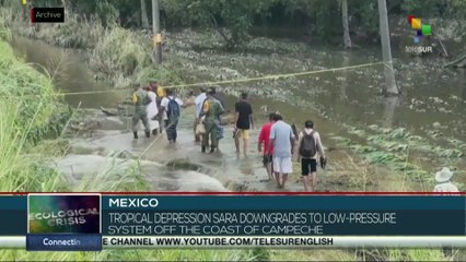 Mexico: Tropical depression Sara downgrades to low-pressure system off the coast of Campeche