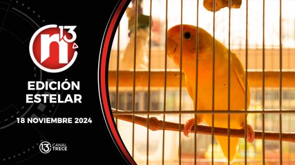 18 Noviembre 2024 | Edición Estelar - Trece Noticias