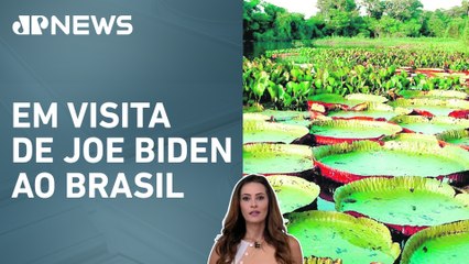 Estados Unidos doam US$ 50 milhões para o Fundo Amazônia; Patrícia Costa analisa