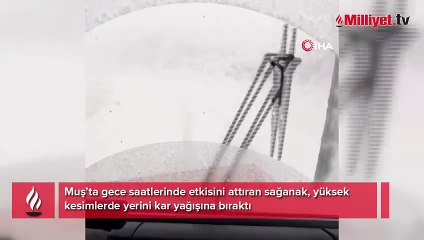 Muş’un yüksek kesimlerinde kar yağışı etkili oldu