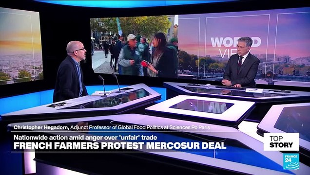 'Bigger picture': EU-Mercosur trade deal would 'open door for a lot of French agricultural exports'