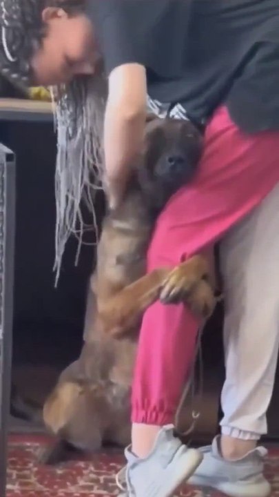 Acude a un refugio a adoptar y la reacción del perro encoge el corazón: "Si te pasa esto, ya tienes lo que buscabas"