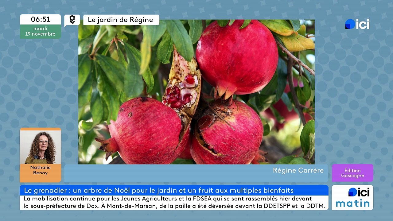 19/11/2024 - ICI Matin France Bleu Gascogne en vidéo