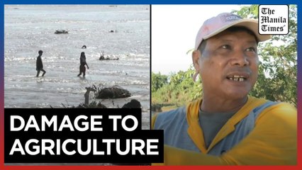 Philippine farmers face financial ruin after Super Typhoon Pepito