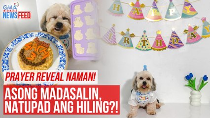 PRAYER REVEAL NAMAN!  Asong madasalin, natupad ang hiling?! | GMA Integrated Newsfeed