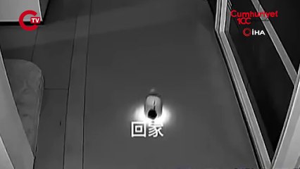 Küçük bir robot, 12 robotu kaçırdı