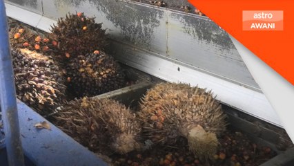 Malaysia pertama di dunia integrasi AI operasi kilang minyak sawit