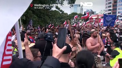 No Comment : en Nouvelle-Zélende, manifestation historique pour les droits des Maoris