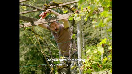 Endless Summer Syndrome Trailer