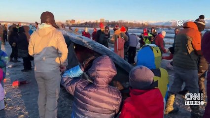 Alaska’da karaya vuran dev Fin balinası şaşkınlık yarattı | Video Haber