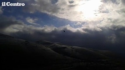 Parco nazionale d'Abruzzo, il volo dei grifoni