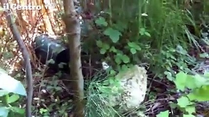 Pescara, la pista ciclabile costata mezzo milione ? ridotta a una savana