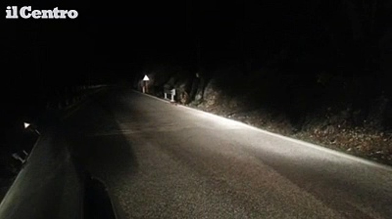 Abruzzo, l'orso in cerca di cibo interrompe la gita scolastica