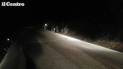 Abruzzo, l'orso in cerca di cibo interrompe la gita scolastica
