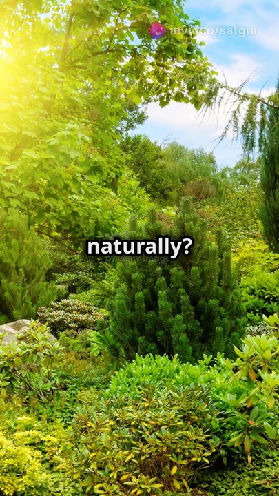 {Best Ayurvedic Medicine for Diabetes } - Ayurvedic Diabetes Medicine