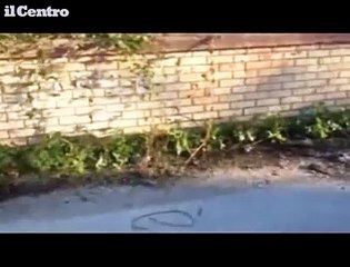 Pescara, pista ciclabile nel degrado: il lato est del fiume