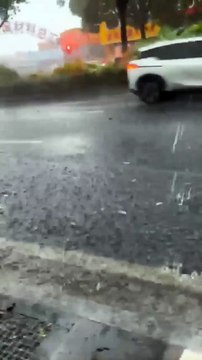 Cat Shivering After Getting Wet in the Rain #shorts