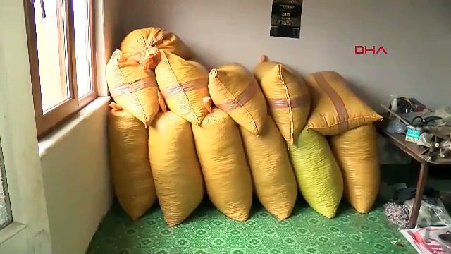 Türkiye'nin şifa deposu zenginliği pazara inemediTürkiye'nin şifa deposu zenginliği pazara inemedi
