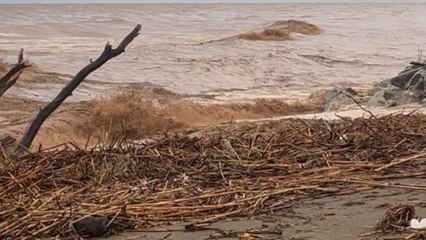 Flooded streets and seas in Malaga show the intense impact of recent storm