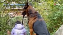 Huge dog sits besides girl; suddenly he does something completely unexpected